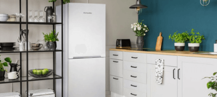 Fridge Freezer Solutions for Modern Homes